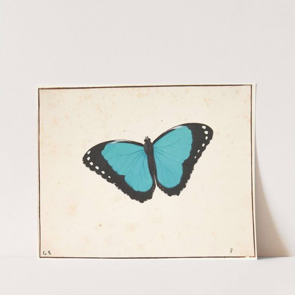 En eksotisk by Pieter Holsteijn