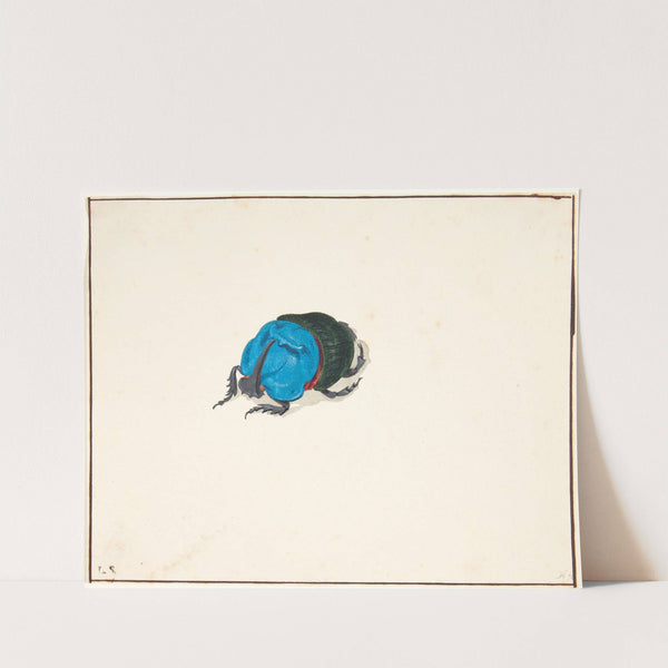 En næsehornsbille scarabaeidae by Pieter Holsteijn