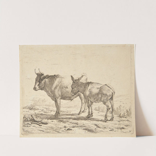 En okse og et æsel by Karel Dujardin