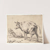 En pissende ko by Paulus Potter