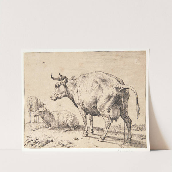 En pissende ko by Paulus Potter