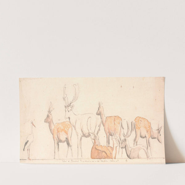 En rudel hjorte og en stork (1854 - 1858) by P. C. Skovgaard