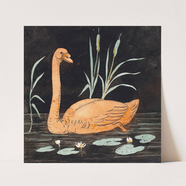 En svane på sort baggrund. Dekorativt udkast. (1816 - 1875) by P. C. Skovgaard