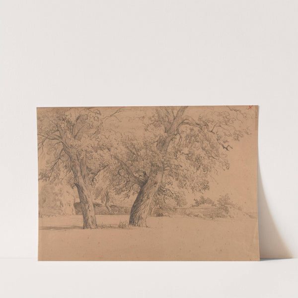 Enclos avec deux arbres by Jacques-Raymond Brascassat