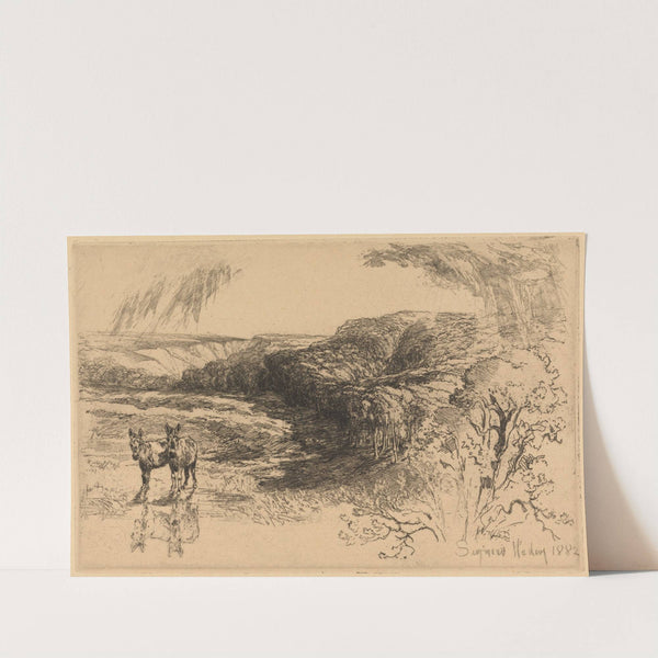 Encombe Woods, no. 2 by Francis Seymour Haden