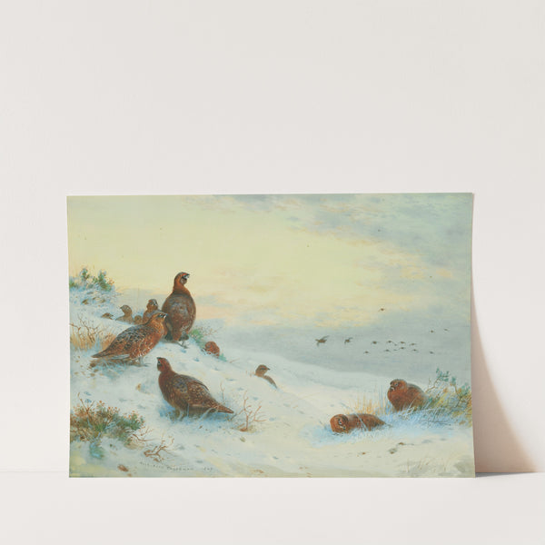 End of the season by Archibald Thorburn