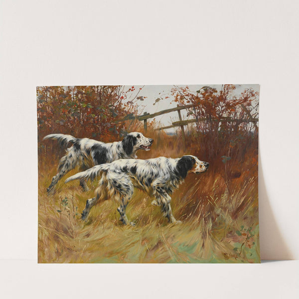 English Setters by Thomas Blinks