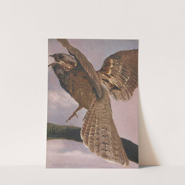 Engoulevent by Léo-Paul Robert