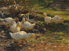 Enten am Brünnele