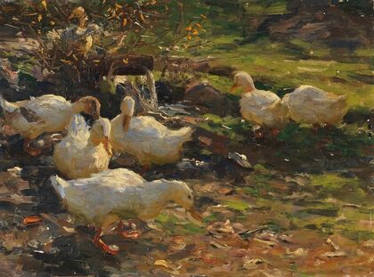 Enten am Brünnele