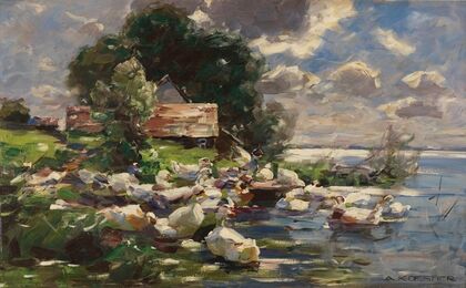 Enten am See