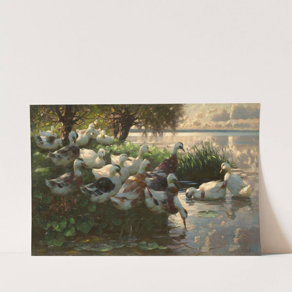 Enten am Seeufer (Circa 1909-1913) by Alexander Koester