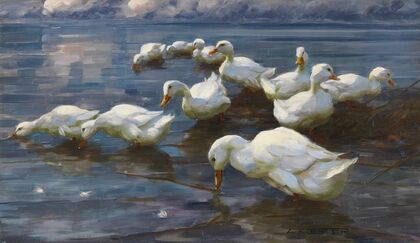 Enten am Seeufer