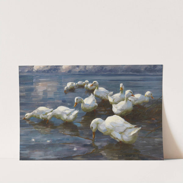 Enten am Seeufer (1909-1913) by Alexander Koester