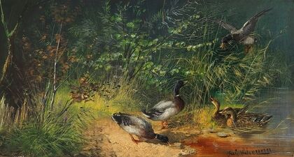 Enten am Teich