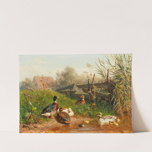 Enten am Teich by Carl Jutz The Elder