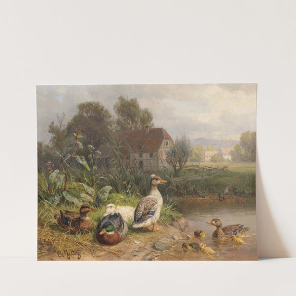 Enten am Teich by Carl Jutz