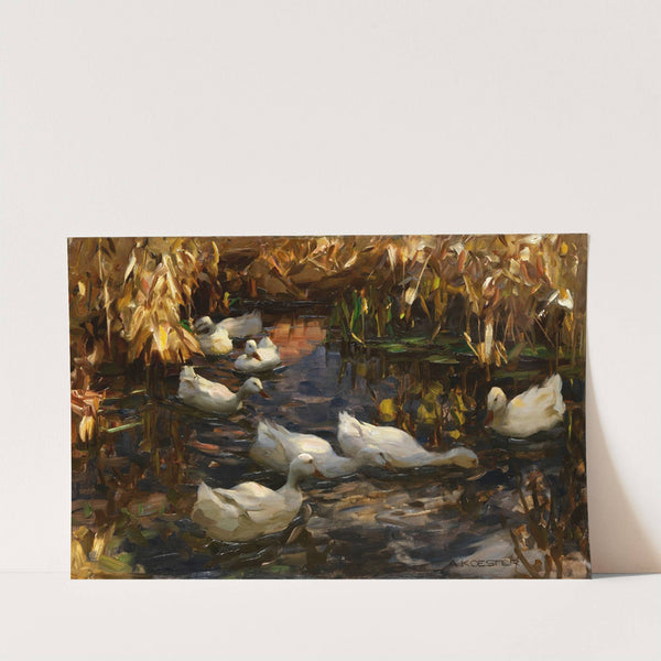 Enten am Teichufer by Alexander Koester