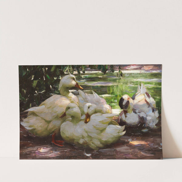 Enten am Ufer (Ca. 1910) by Alexander Koester