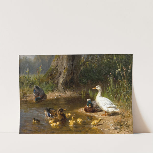 Enten am Wasser (1874) by Carl Jutz