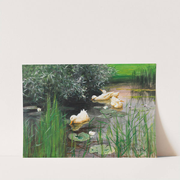 Enten im Seerosenteich (1910) by Alexander Koester