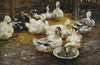 Enten im Stroh