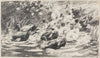 Enten im Teich