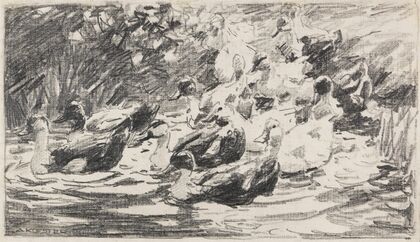 Enten im Teich