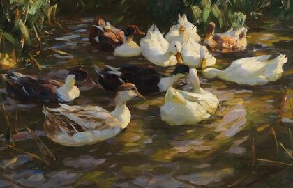 Enten im Teich (Enten am Bach)
