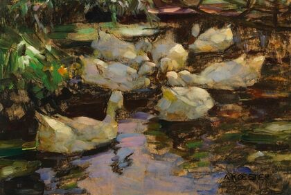 Enten im Wasser, ohne Sonne