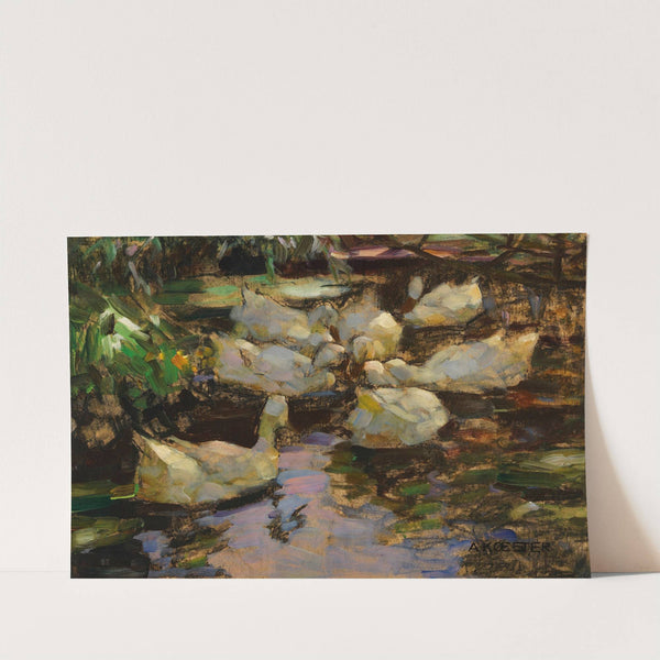 Enten im Wasser, ohne Sonne (Ca. 1915-1932) by Alexander Koester