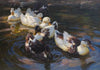 Enten in Morgensonne (Enten in blauem Wasser) (1904)