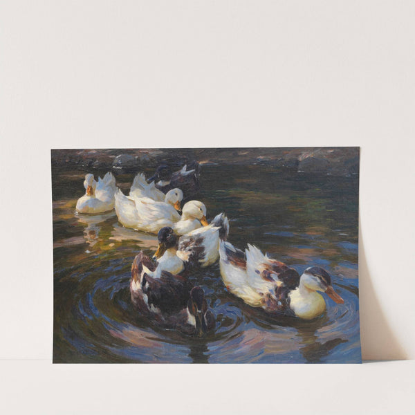 Enten in Morgensonne (Enten in blauem Wasser) (1904) by Alexander Koester