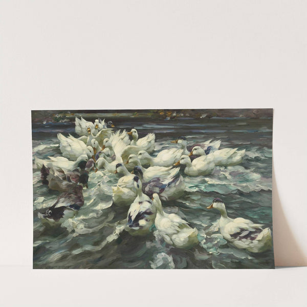 Enten in Teich (Wilde Jagd) by Alexander Koester