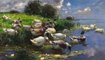 Enten (Seelandschaft)