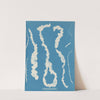 Enteromorpha intestinalis. by Anna Atkins