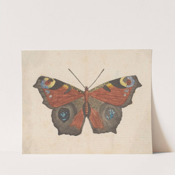 Entomology watercolour Pl.069 by George Hudson