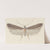 Entomology watercolour Pl.114 by George Hudson