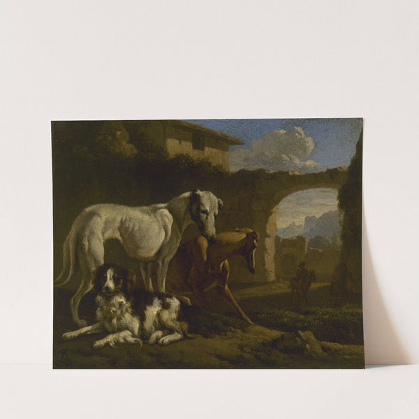 Epagneul et lévriers by Johan le Ducq