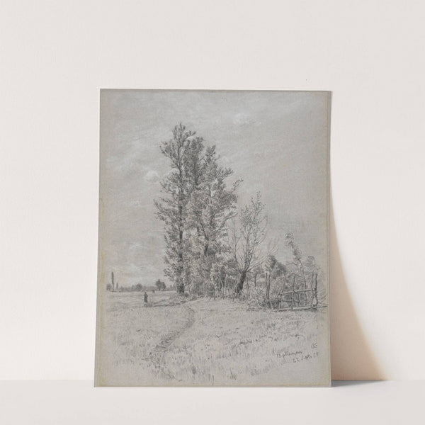 Erlen und Weiden bei Bottenau by Gustav Kampmann