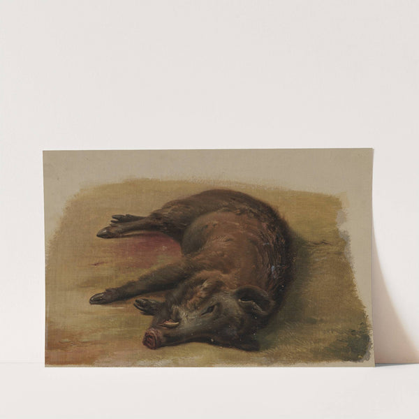 Erschossener Eber by Johann Baptist Kirner