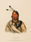 Esh-Ta-Hum-Leah. A Sioux Chief