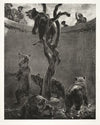 Essay on Stone with Brush and Scraper; The Bear Pit (1851)
