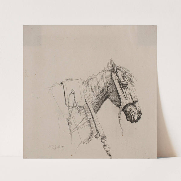 Et hestehoved (1848 – 1849) by Emmerik Høegh-Guldberg