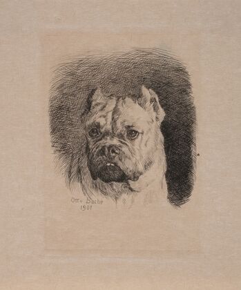 Et hundehoved
