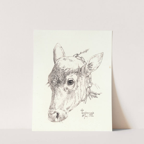 Et kalvehoved by Johan Thomas Lundbye