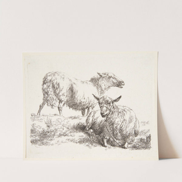 Et stående og et liggende får by Nicolaes Pietersz. Berchem