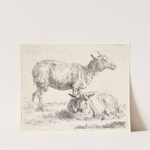 Et stående og et liggende får by Nicolaes Pietersz. Berchem