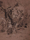 Etretat (1880)