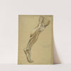 Etude anatomique. Muscles de la face externe de la jambe et du pied dans l’extension by Arthur-Joseph Gueniot
